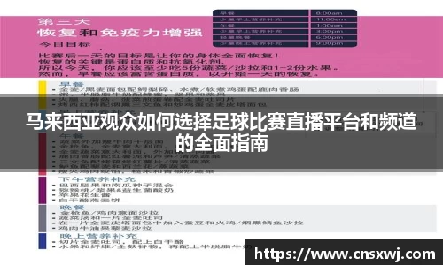 易游体育手机网页版登录