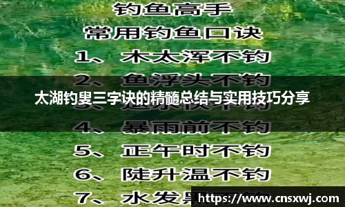 太湖钓叟三字诀的精髓总结与实用技巧分享