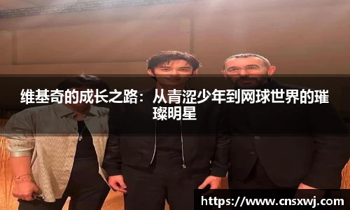 易游体育官网版