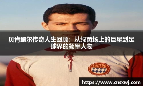 易游体育官网版
