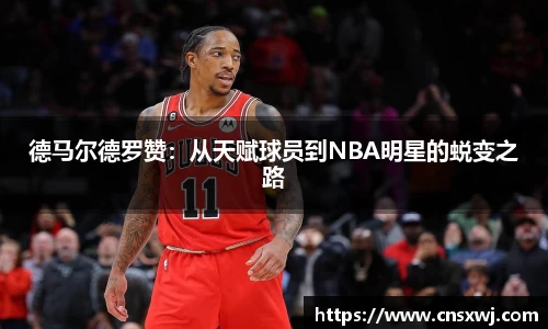 易游体育官网版